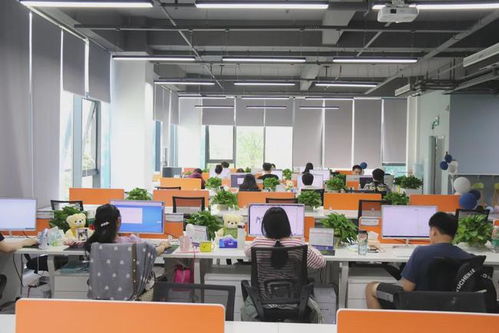 熱烈歡迎弗睿跨境電子商務入駐OVU創客星創意天地北站